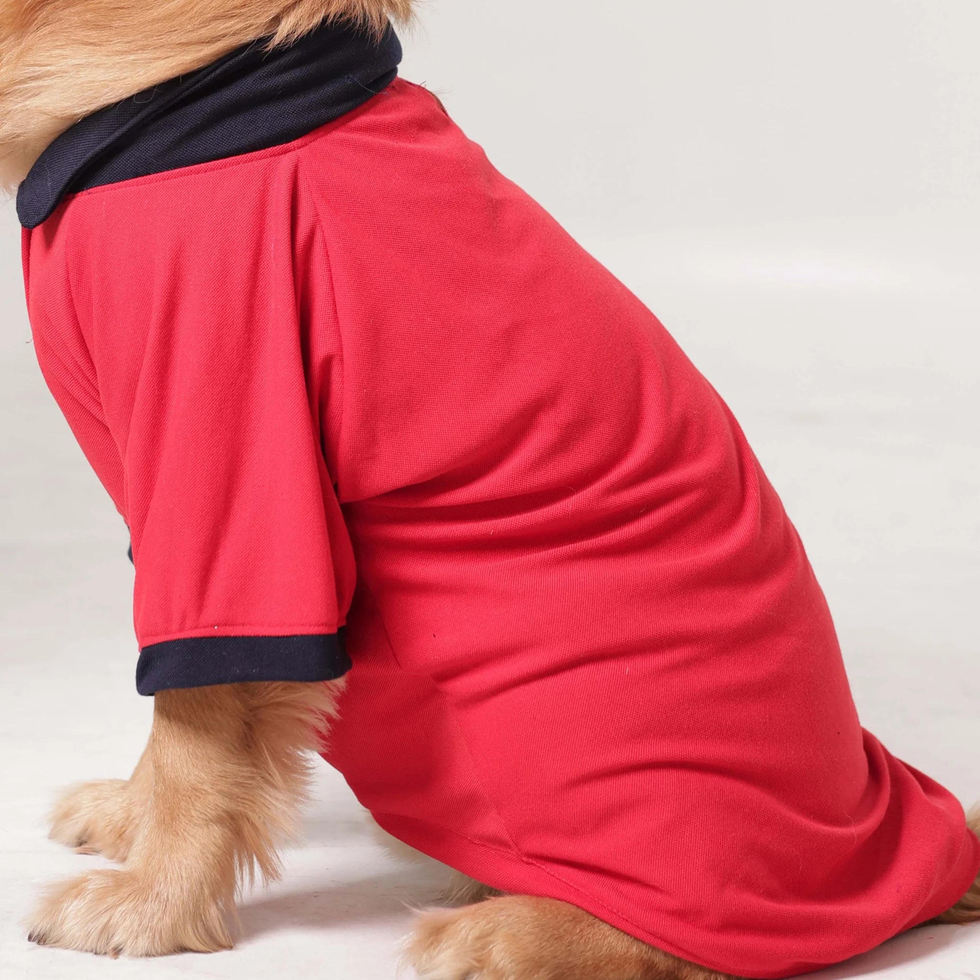 Classic Polycotton Polo Dog T-Shirt- Smart Casual Everyday Wear (Red)