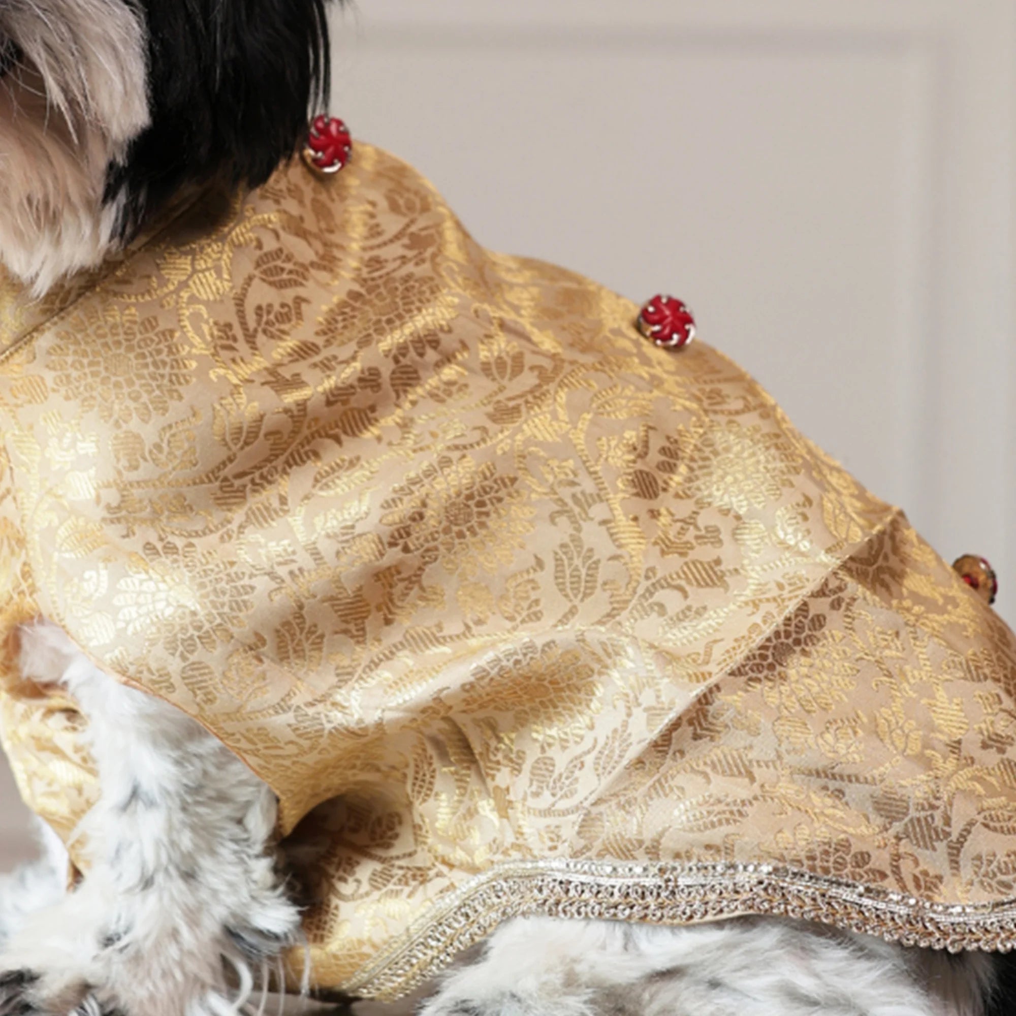 Royal Rajwada Dog Kurta- Brocade Wedding & Festive Ethnic Wear