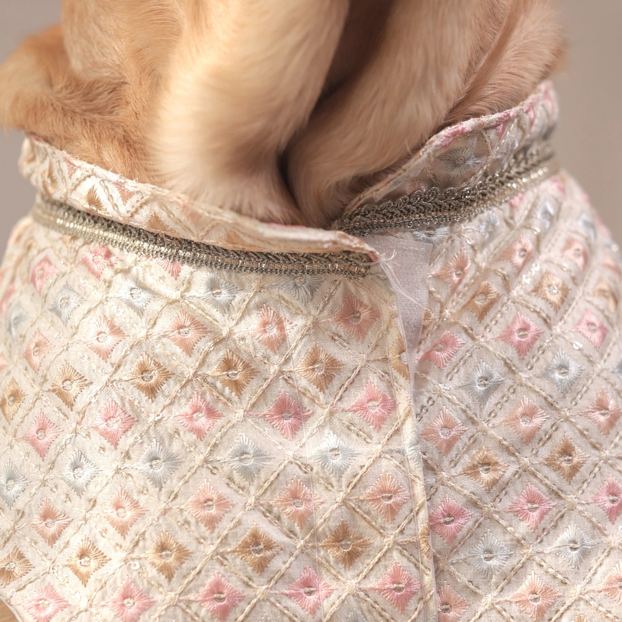 Luxe Pastel Festive Dog Kurta- Regal Monosilk Wedding Outfit