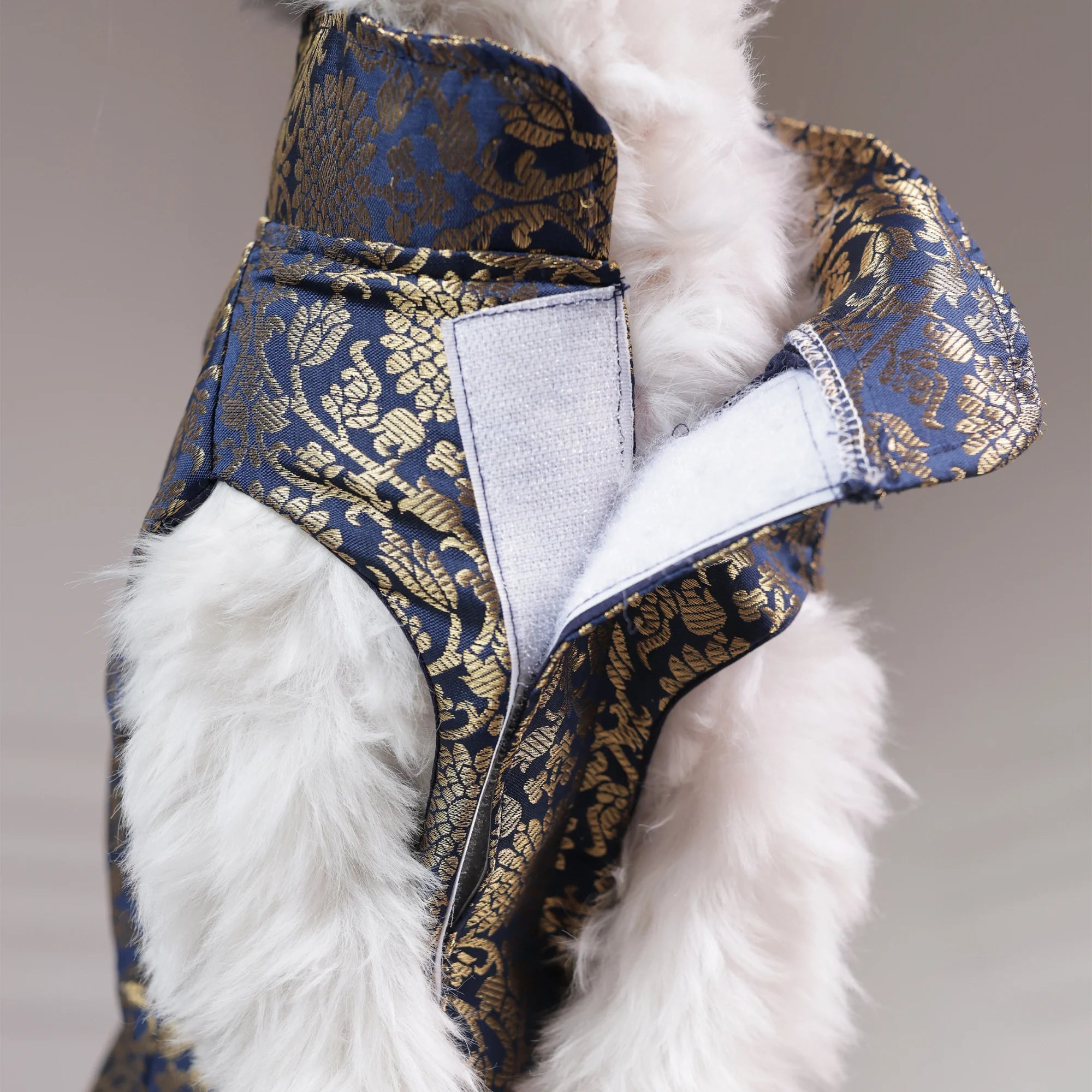 Royal Brocade Dog Kurta – Luxury Wedding & Festive Ethnic Wear (Navy & Gold)