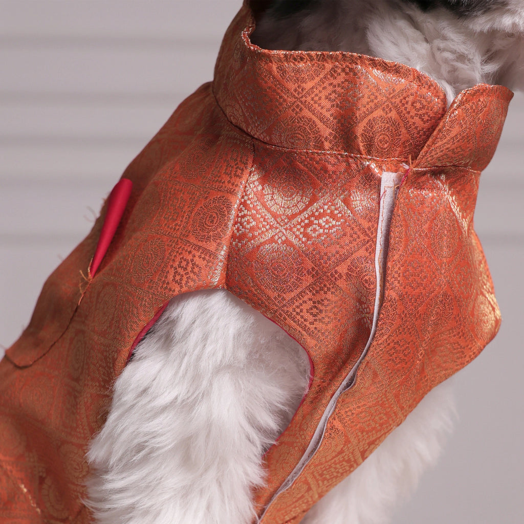Royal Brocade Dog Kurta (Orange) – Premium Festive Ethnic Wear for Dogs