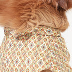 Heritage Print Ethnic Dog Kurta- Lightweight Festive & Party Wear