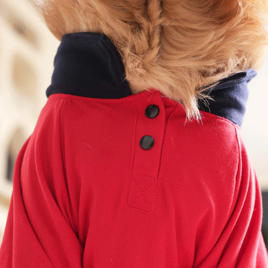 Classic Polycotton Polo Dog T-Shirt- Smart Casual Everyday Wear (Red)