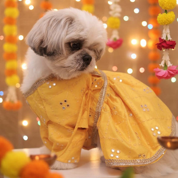 Sunshine swirl Lehenga