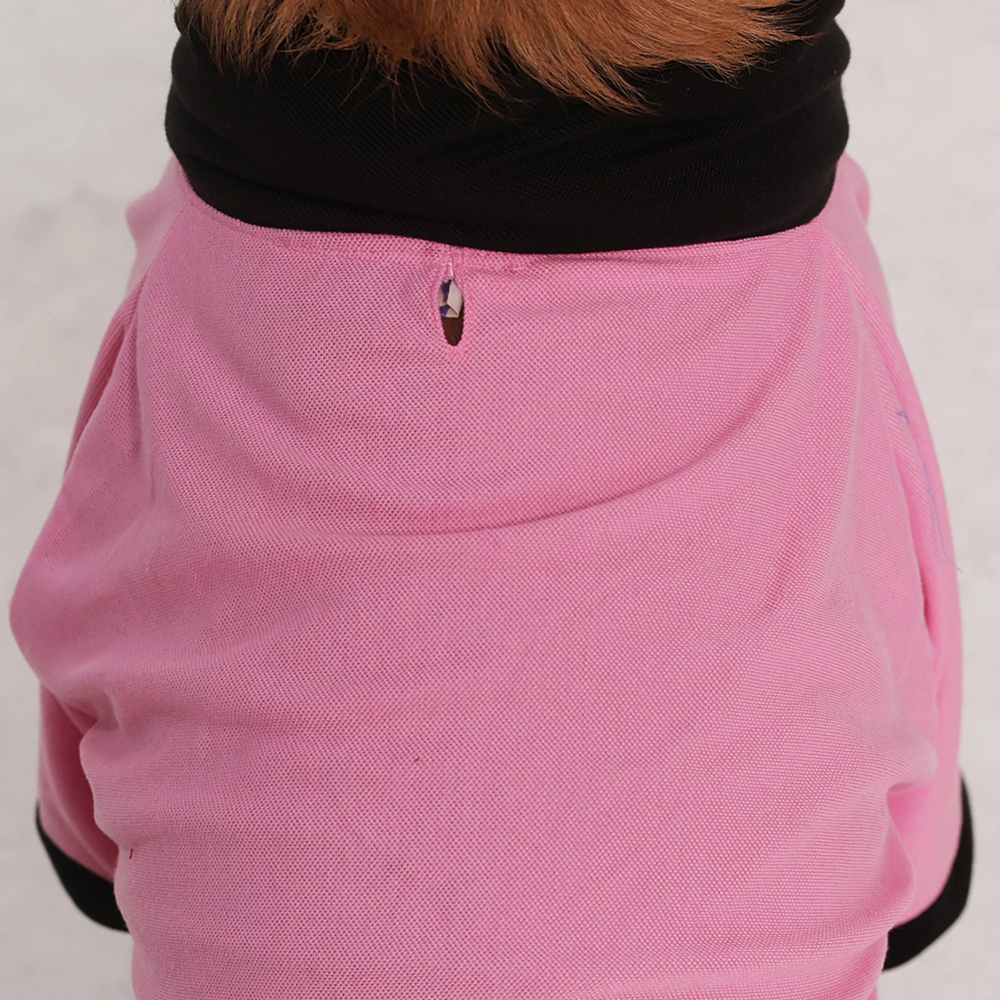 Comfort Polo Tee- Polycotton Everyday Dog T-Shirt