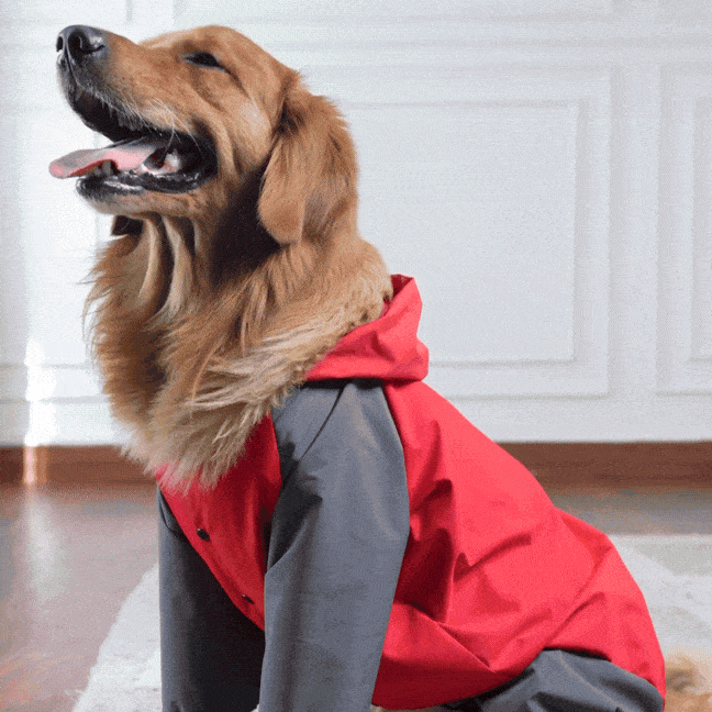 Storm Guard Waterproof Dog Raincoat with Hood- Lightweight All Weather Protection