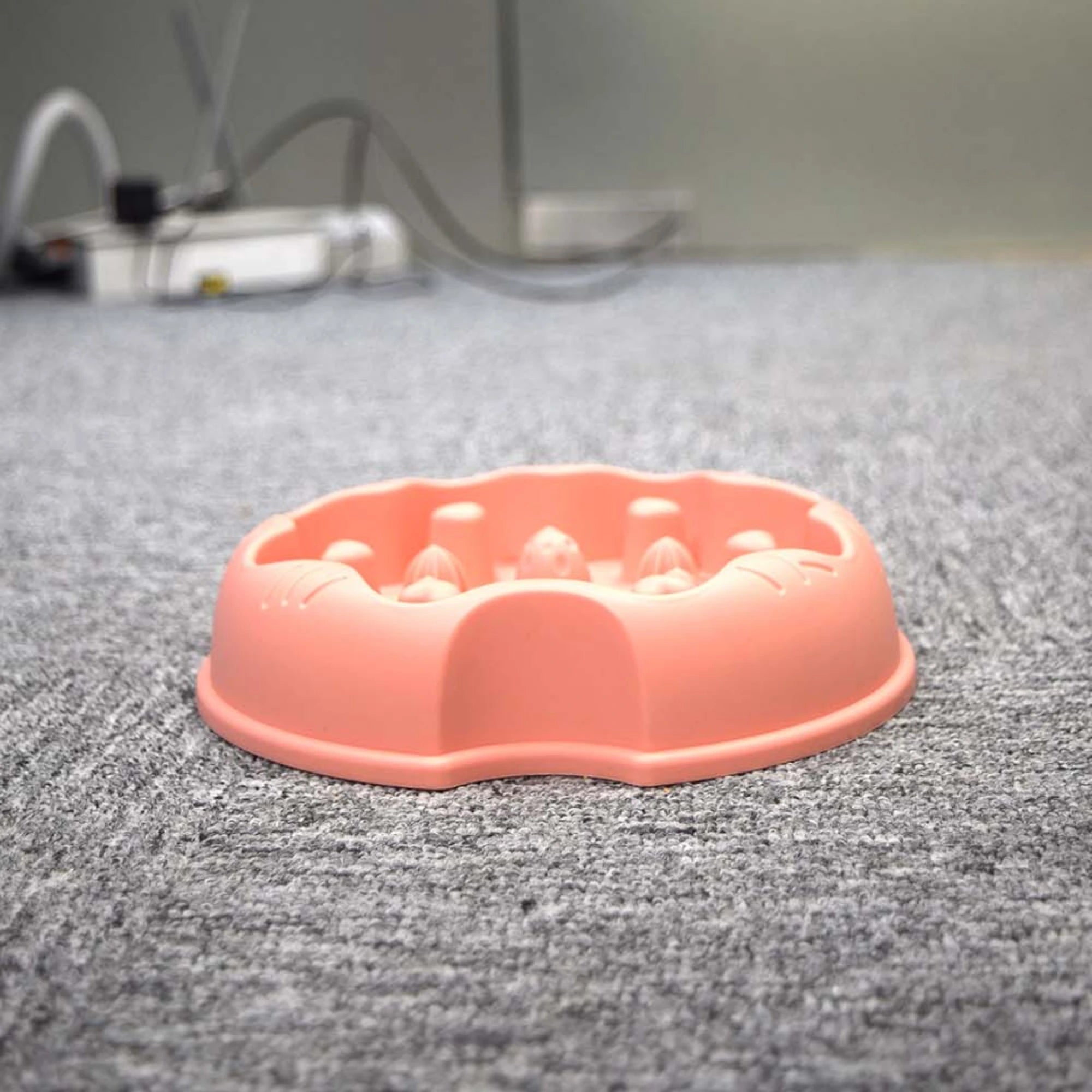 Dog Slow Feeder Bowl – Anti-Choke, Easy Clean | FurryFits