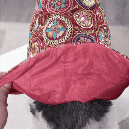 Royal Embroidered Dog Sherwani – Premium Wedding & Festive Designer Wear (Red Multicolor)