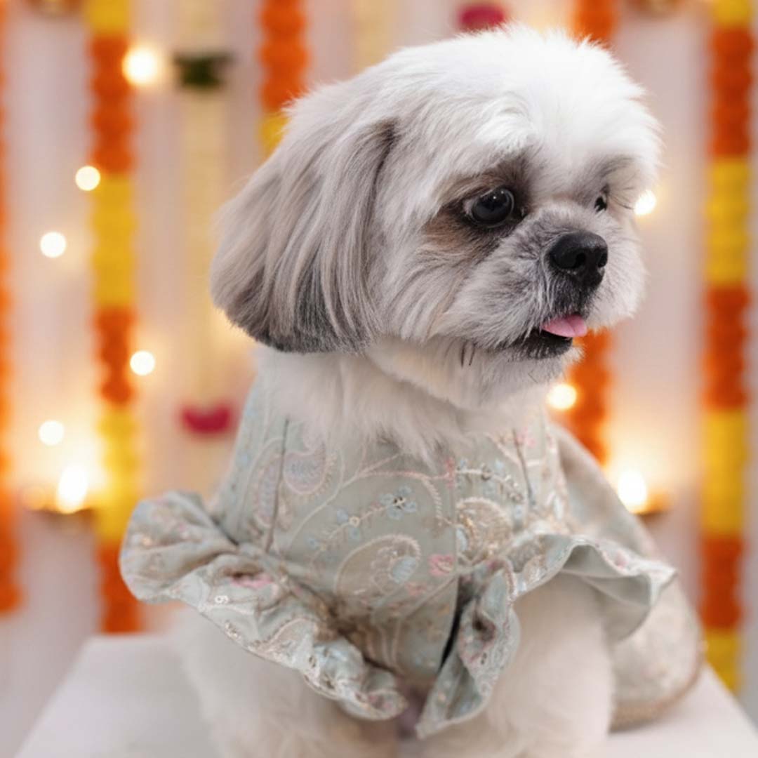 Mint Swirl Designer Lehenga