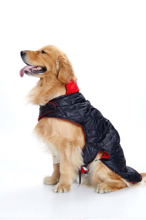 Elevate your pet’s wardrobe with the FurryFits Black Quilted with Red Velvet Dog Jacket. This sophis...
