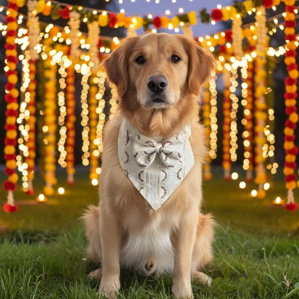 Scarlet Spark Festive Bandana