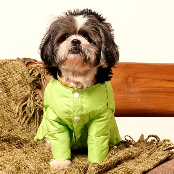 Neon Nibble Pet Hoodie – Stylish & Warm Pet Hoodie by FurryFits