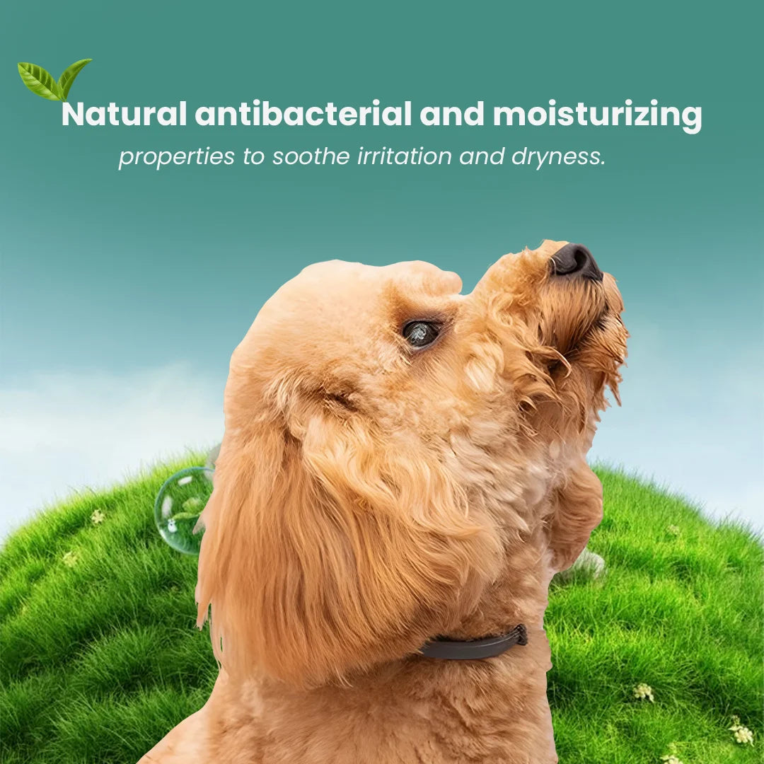 FurryFits Anti Tick & Flea Pet Shampoo - 200ml/500ml for Dogs & Cats