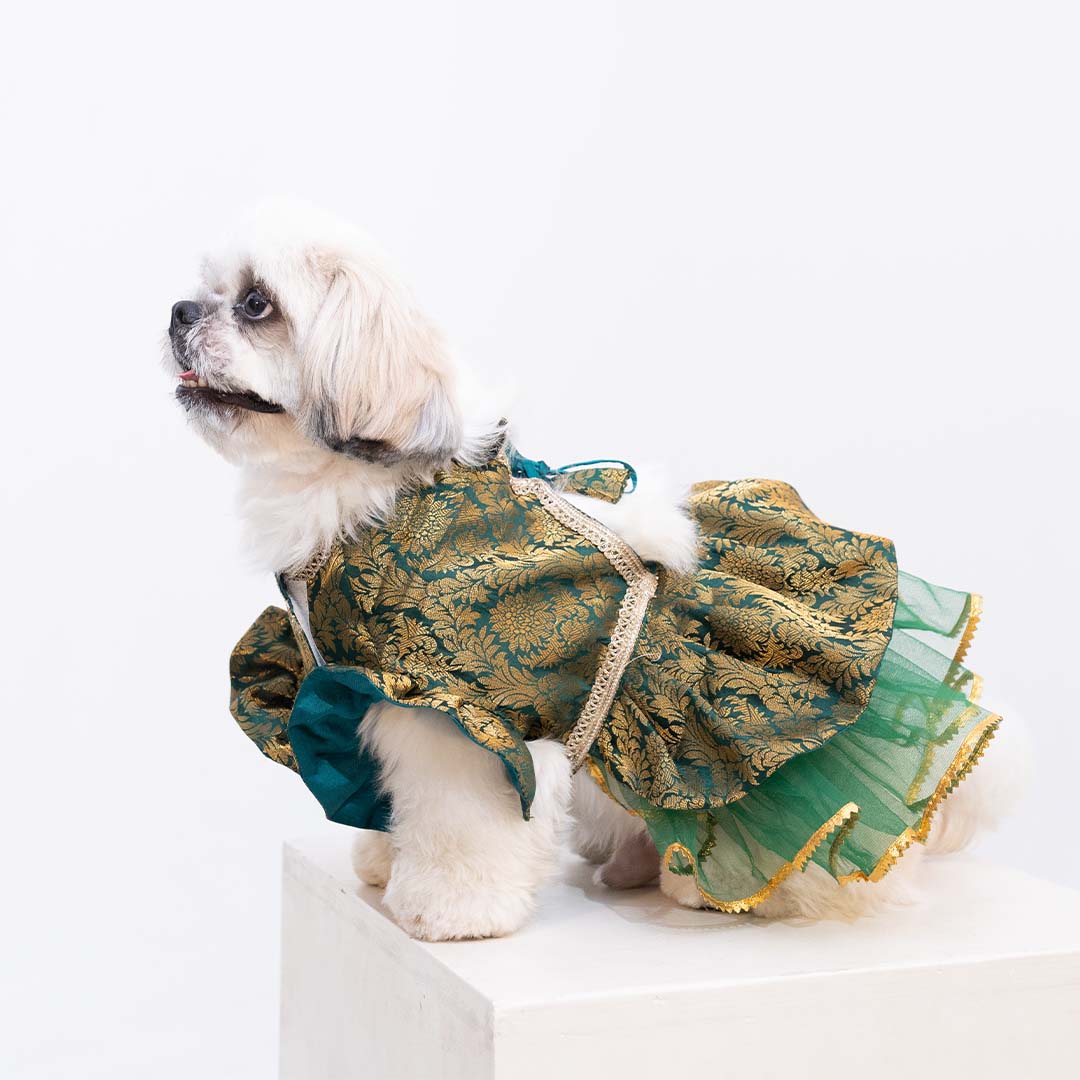 Moss Magic Lehenga