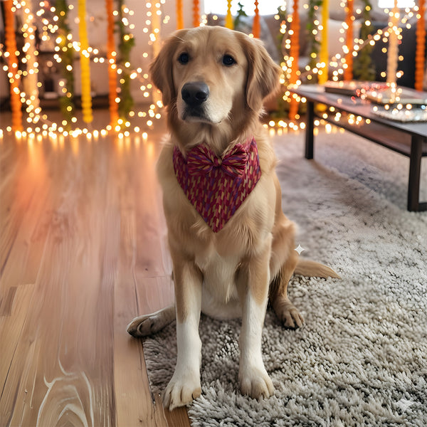 Multicolor Regal Bandana