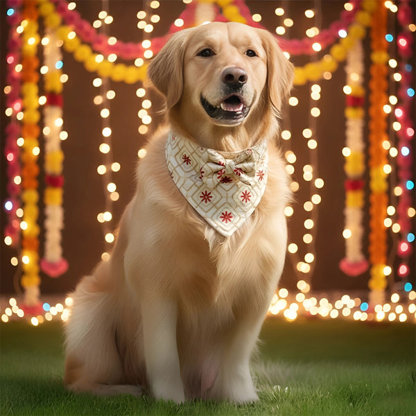 Regal Radiance Bandana