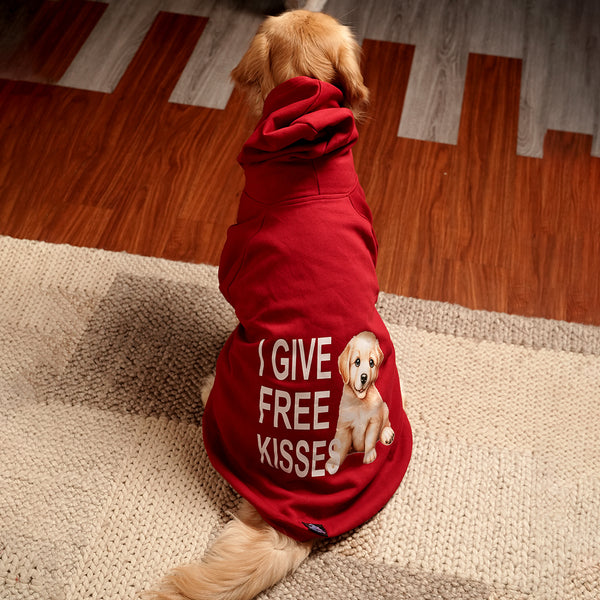 Rudolph Red Hoodie – Festive Red Winter Pet Hoodie