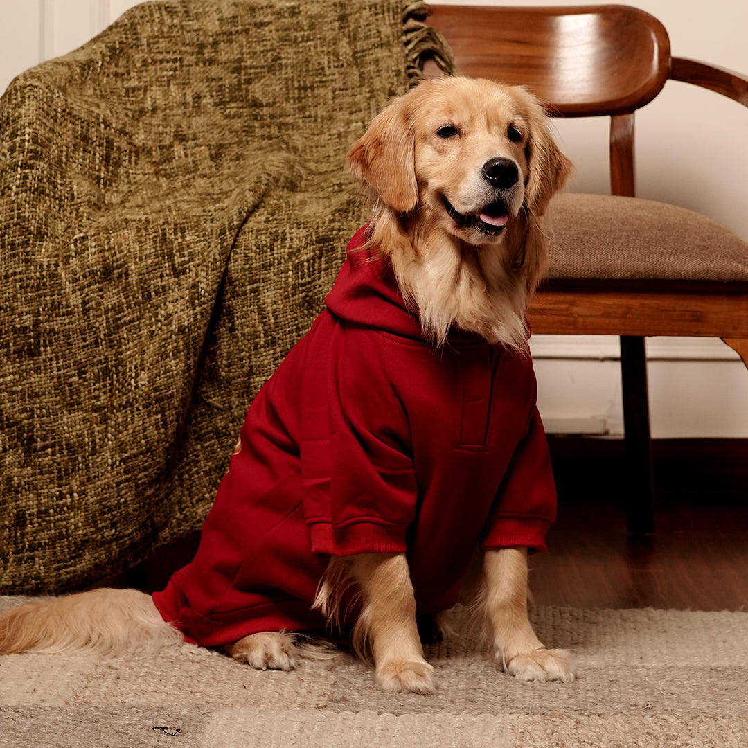 Rudolph Red Hoodie – Festive Red Winter Pet Hoodie