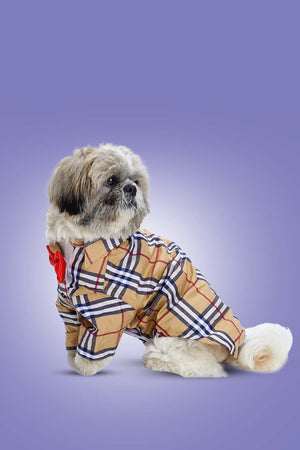 Burberry-Inspired Dog Shirt – Classic Check Style for Pets