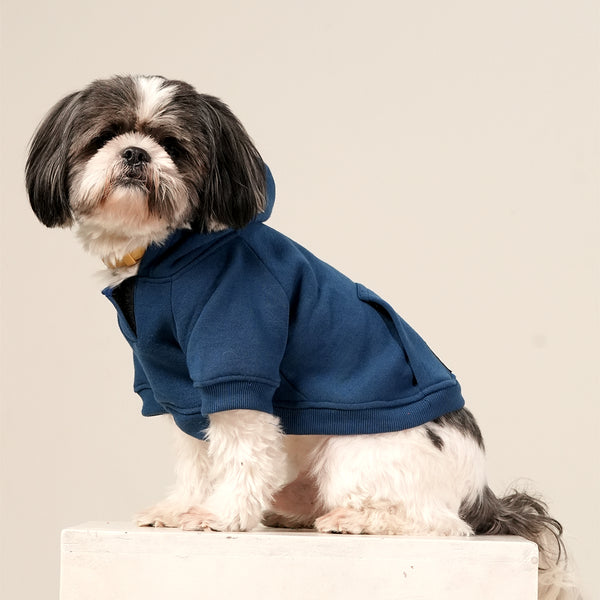 MidSky Lounge Hoodie – Cool Blue Winter Pet Hoodie