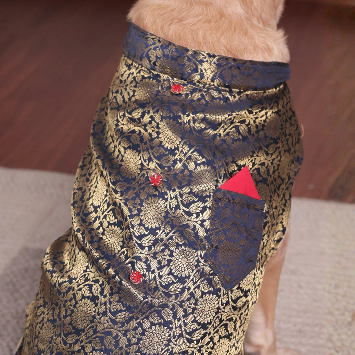 Royal Brocade Dog Kurta – Luxury Wedding & Festive Ethnic Wear (Navy & Gold)