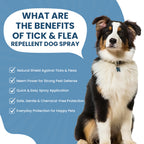FurryFits Tick & Flea Repellent Dog Spray – Protects Pets from Pests