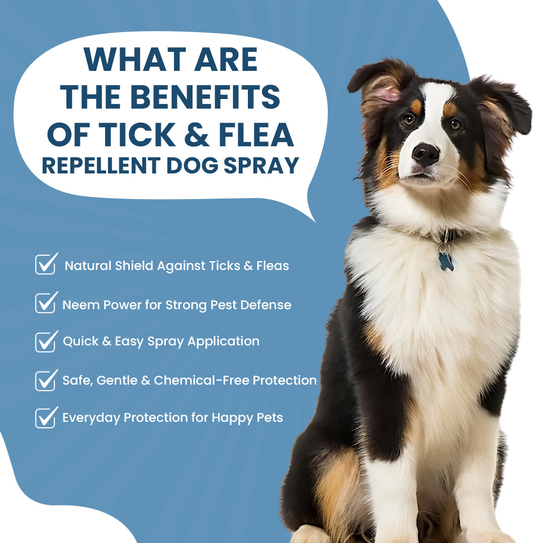 FurryFits Tick & Flea Repellent Dog Spray – Protects Pets from Pests