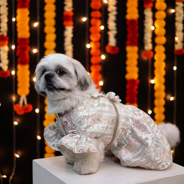 Joyful Step Designer Lehenga