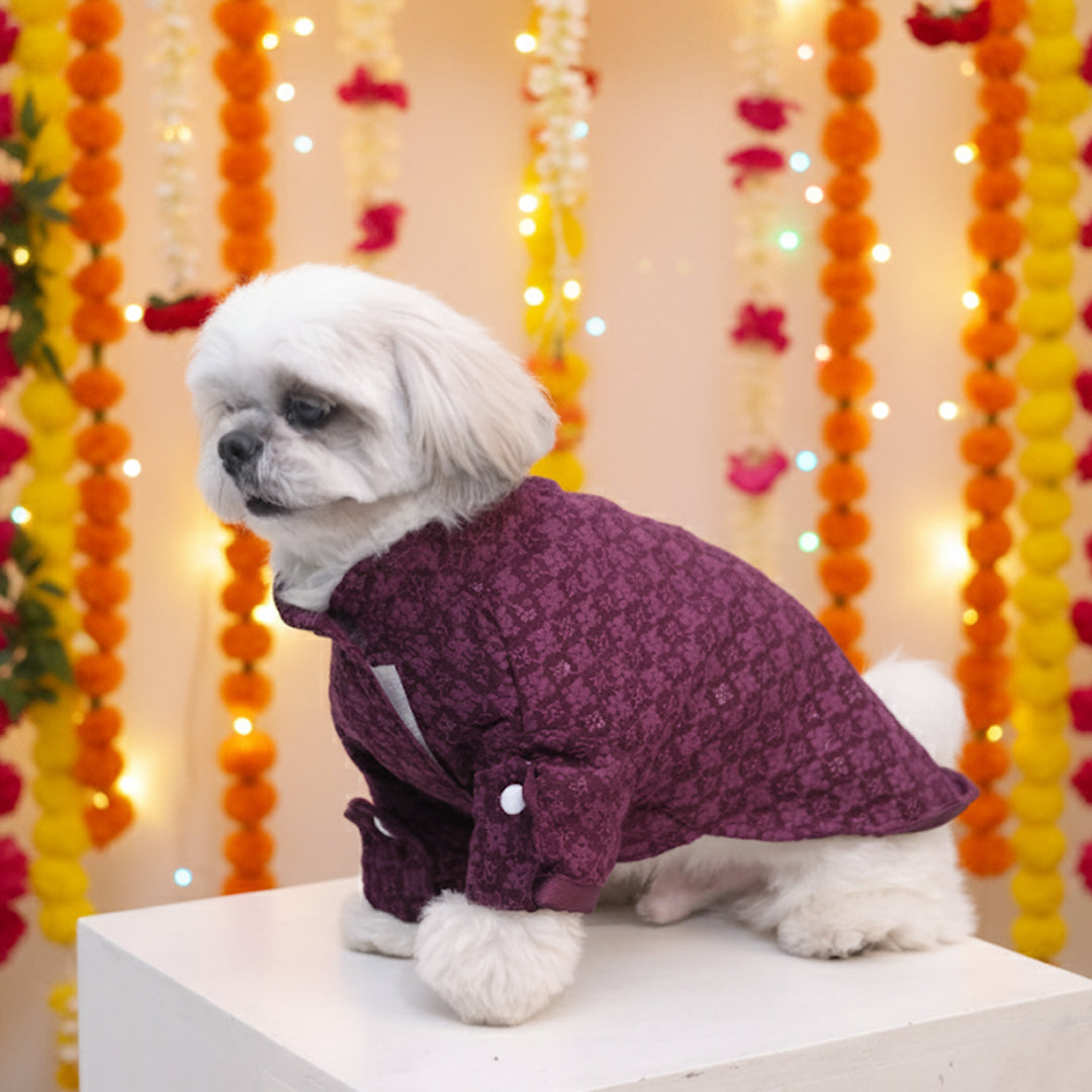 Maroon Majesty Chikankari Kurta