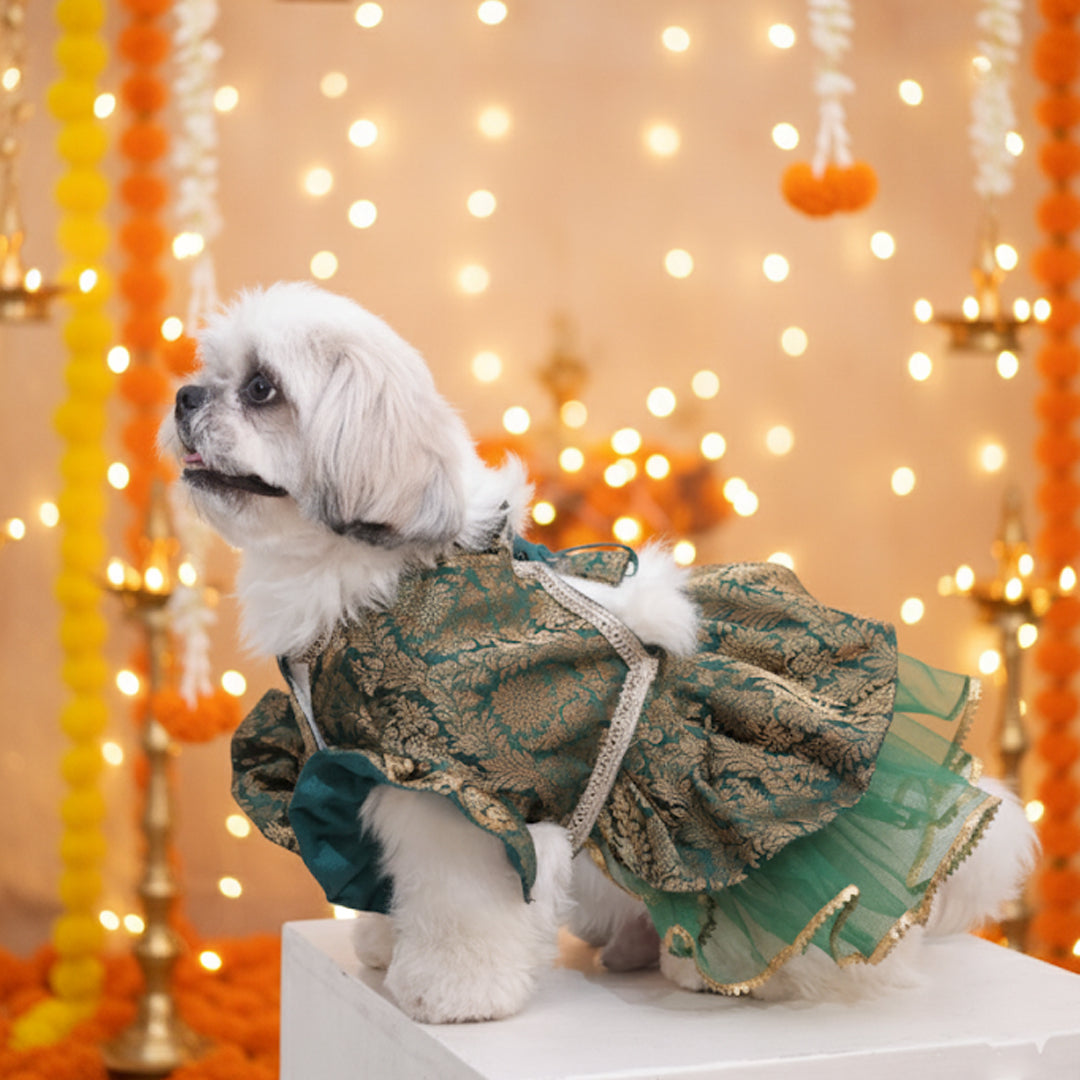 Moss Magic Lehenga