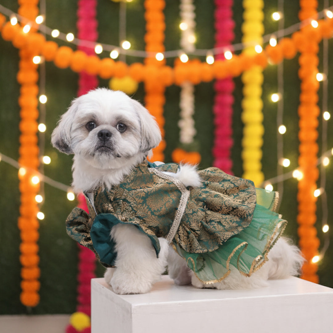 Moss Magic Lehenga