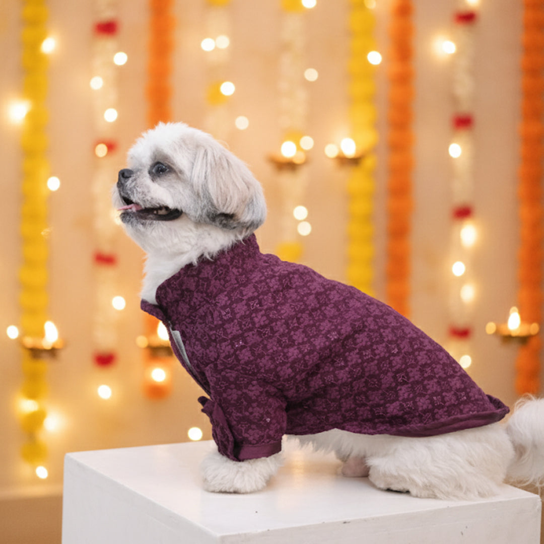 Maroon Majesty Chikankari Kurta