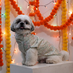 Give your furry friend a touch of subtle elegance with the Mint Dream Designer Kurta. Crafted in a s...