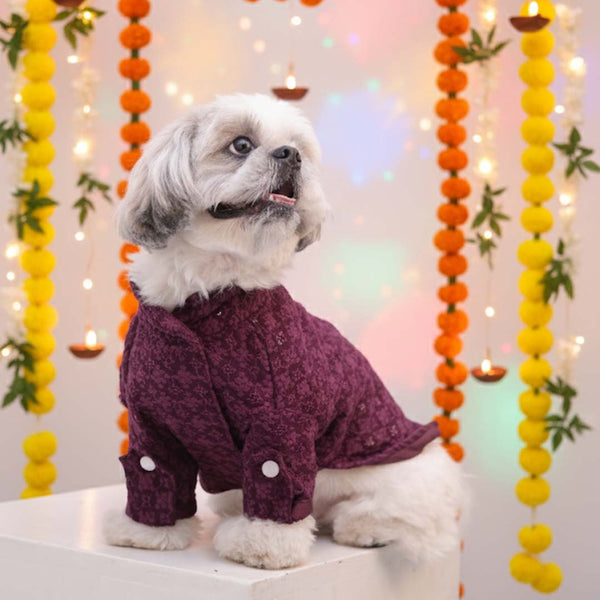 Maroon Majesty Chikankari Kurta