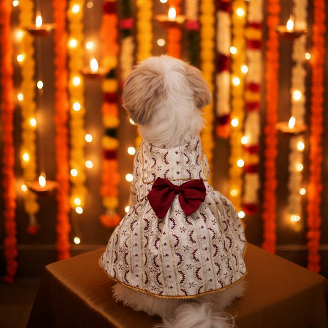 Ruby Starlight Lehenga