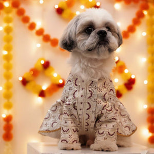 Add elegance and festive sparkle to your pet’s wardrobe with the Ruby Starlight Lehenga. Designed in...