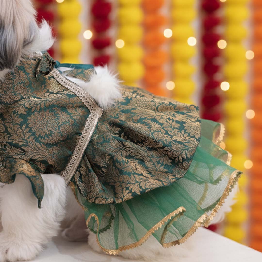 Moss Magic Lehenga