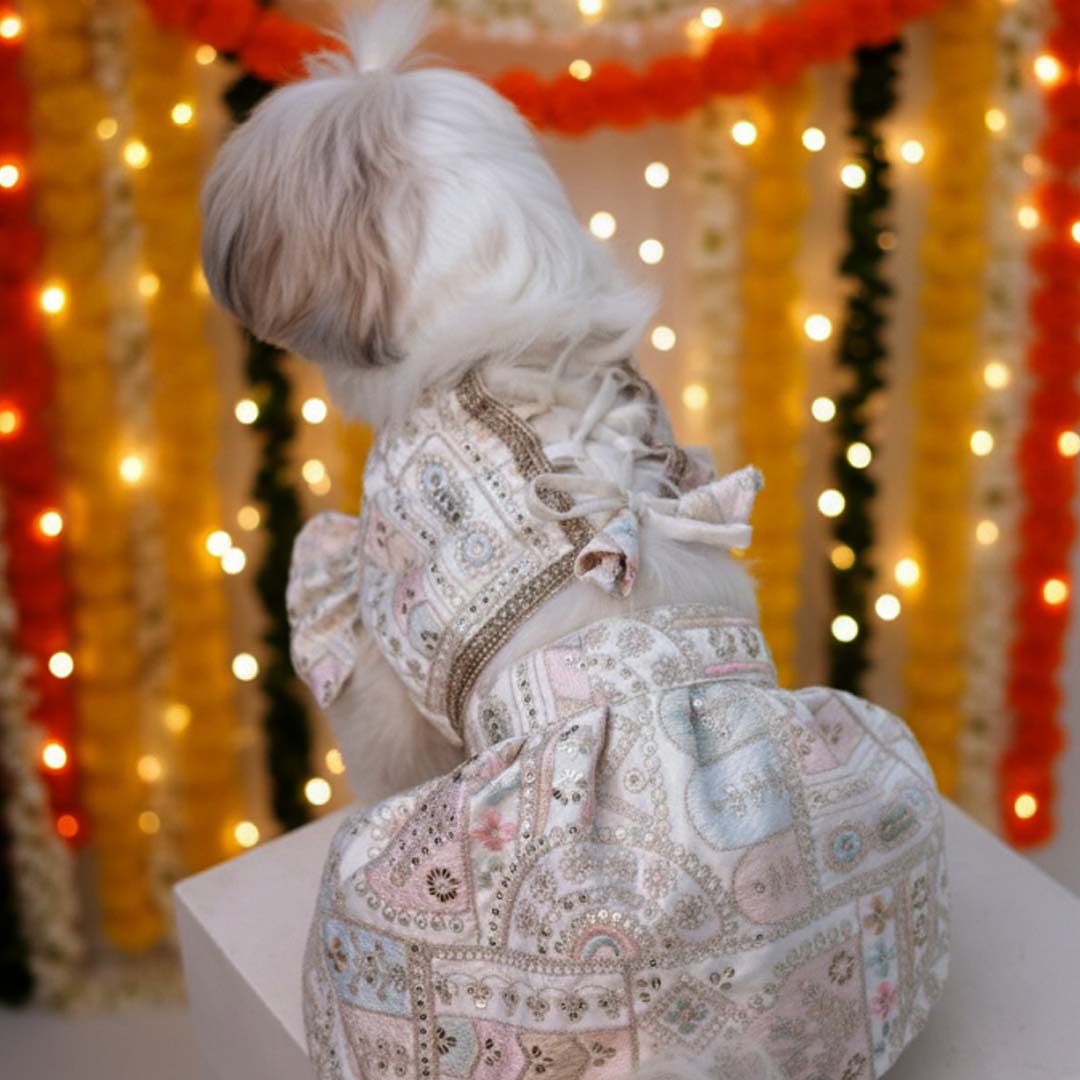 Joyful Step Designer Lehenga