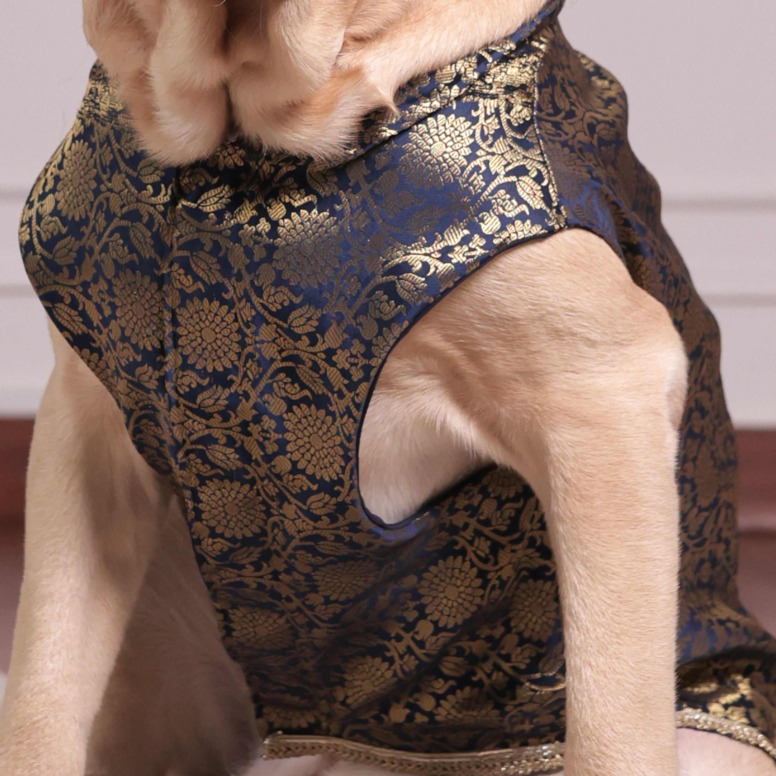 Royal Brocade Dog Kurta – Luxury Wedding & Festive Ethnic Wear (Navy & Gold)