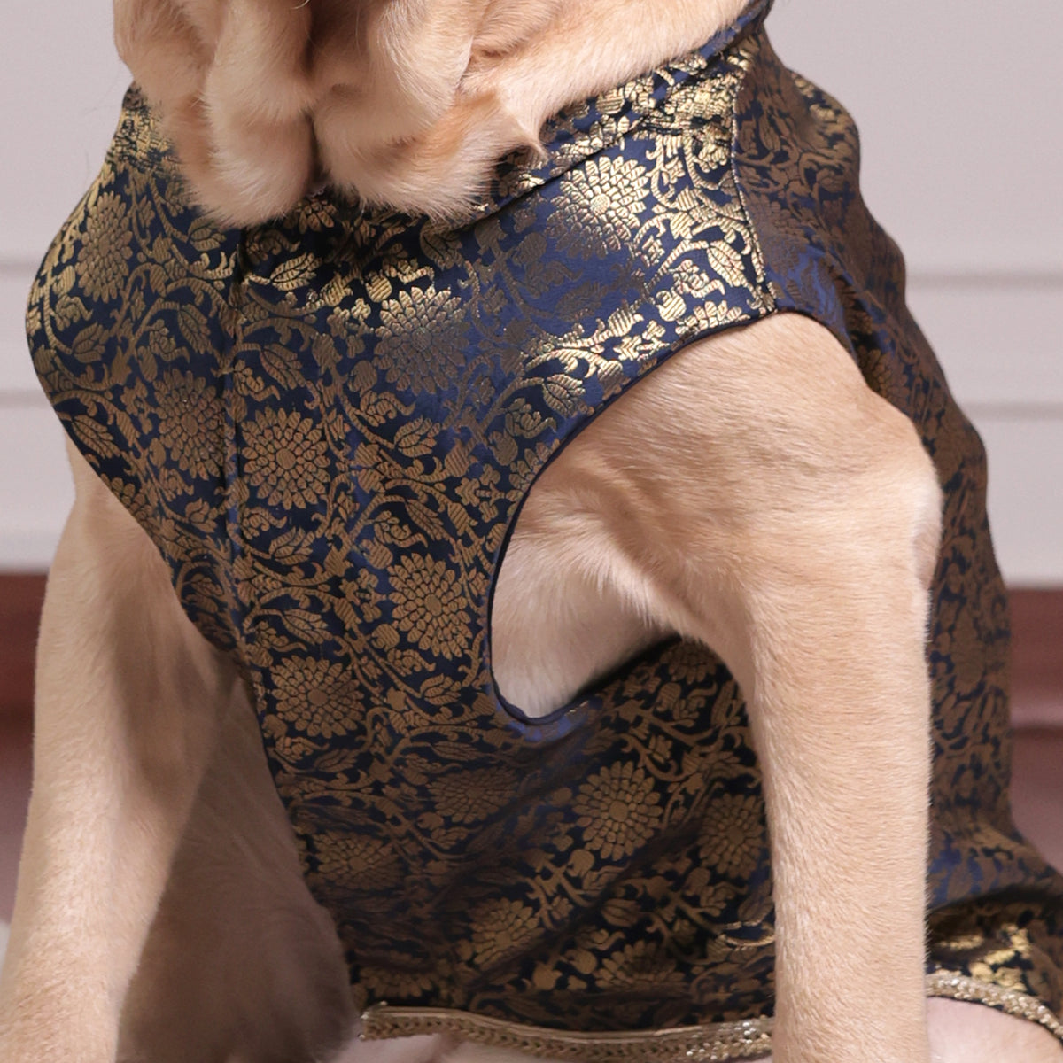 Royal Brocade Dog Kurta – Luxury Wedding & Festive Ethnic Wear (Navy & Gold)