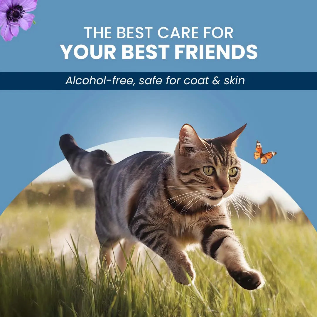FurryFits Breeze Luxe Perfume – Refreshing Pet Fragrance