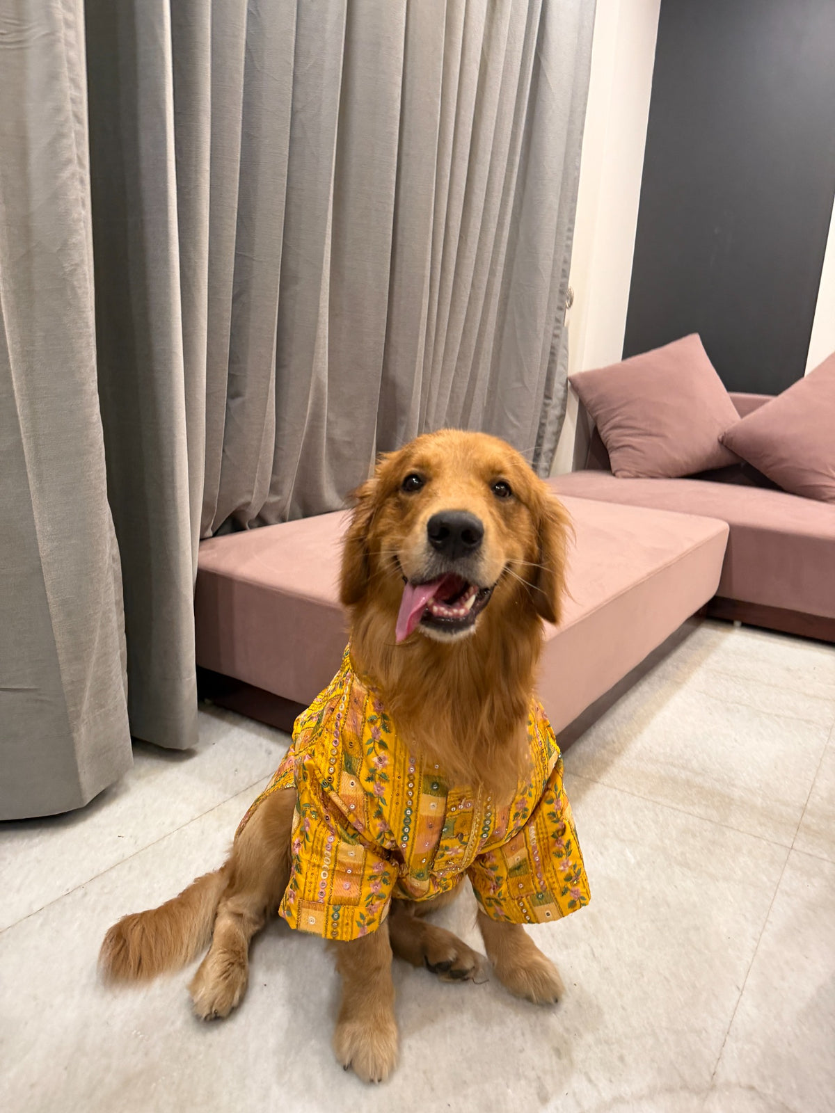 Golden Meadow Mirror-Work Kurta