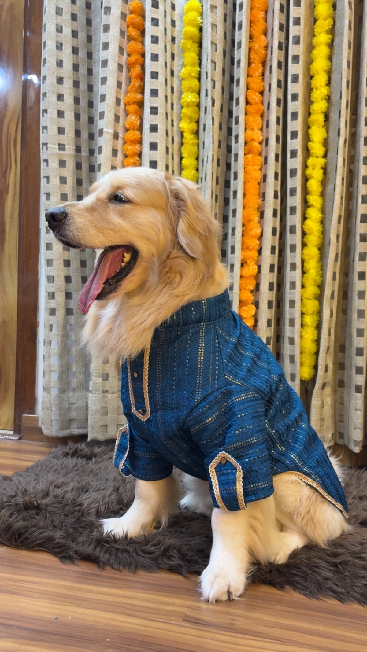 Peacock Blue Zari Kurta