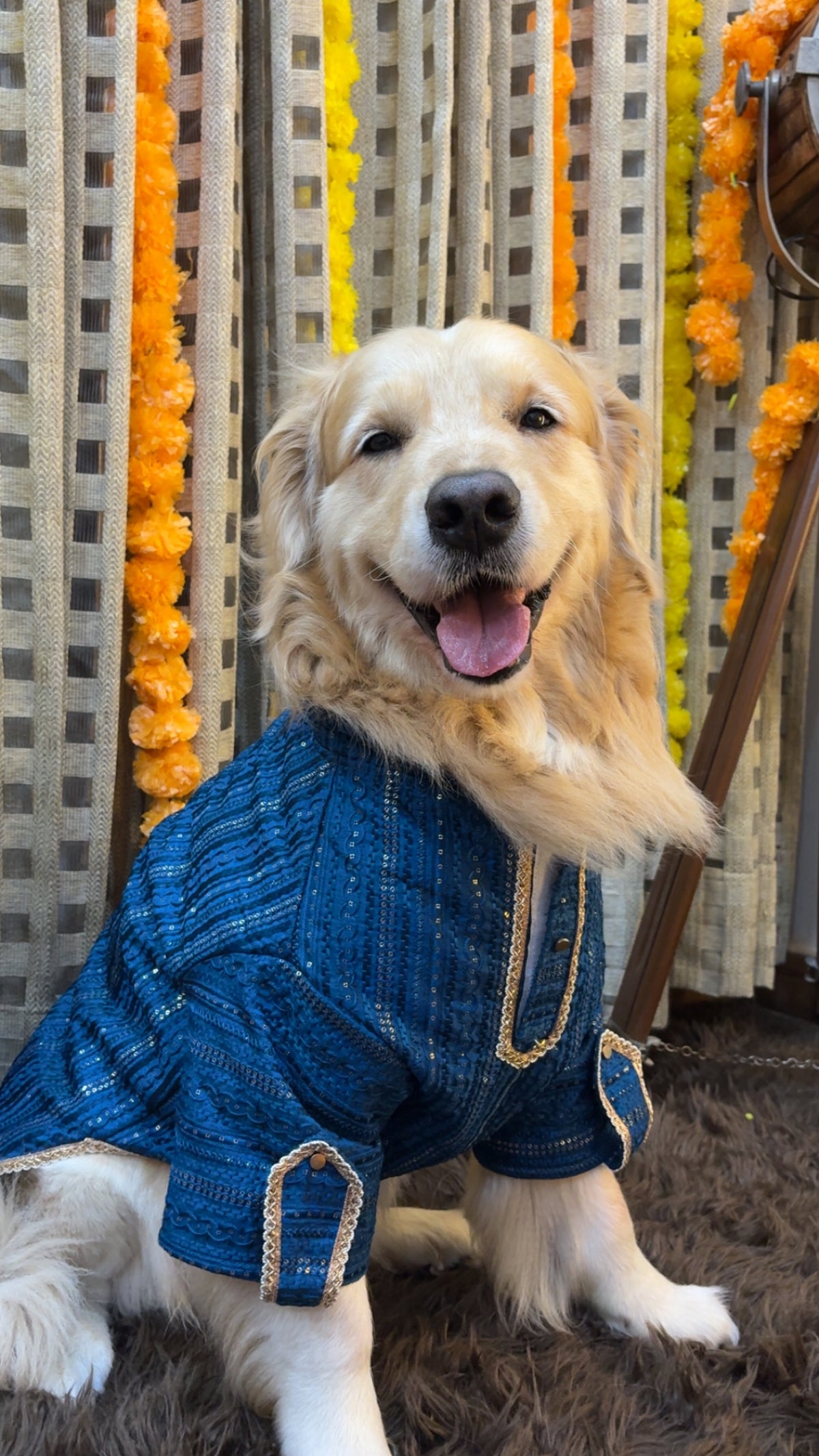 Peacock Blue Zari Kurta