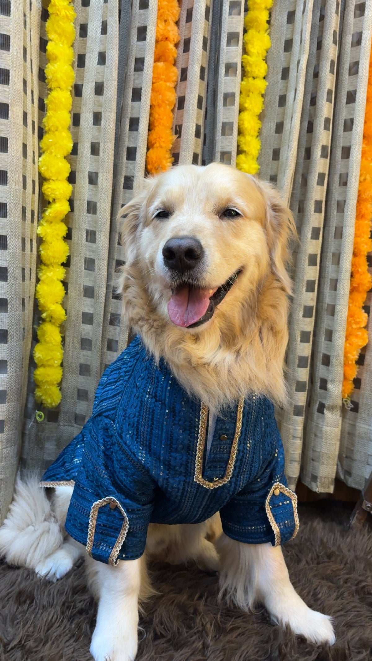 Peacock Blue Zari Kurta