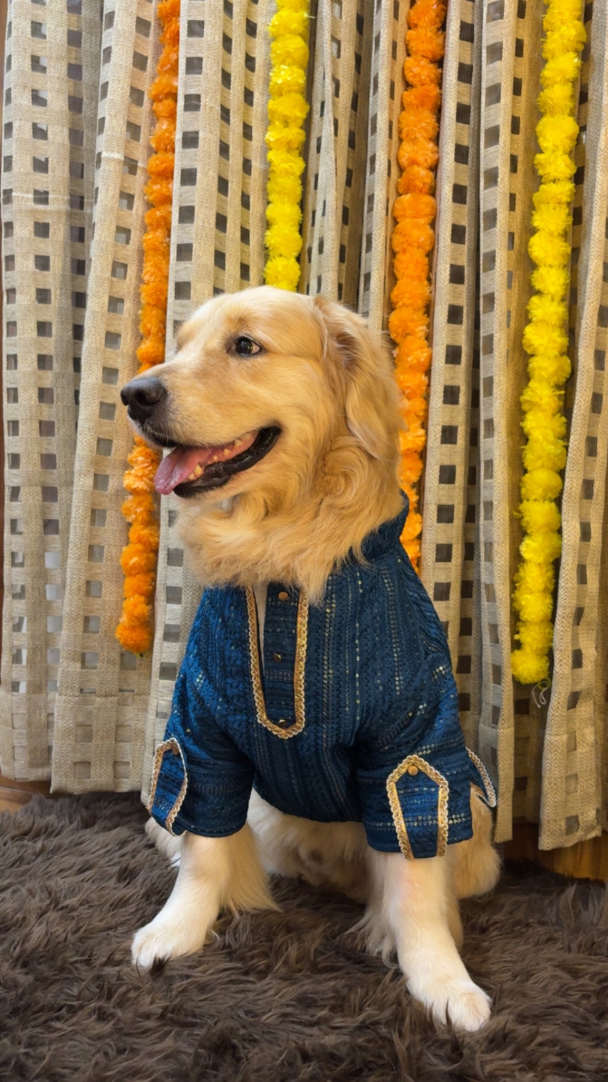 Peacock Blue Zari Kurta