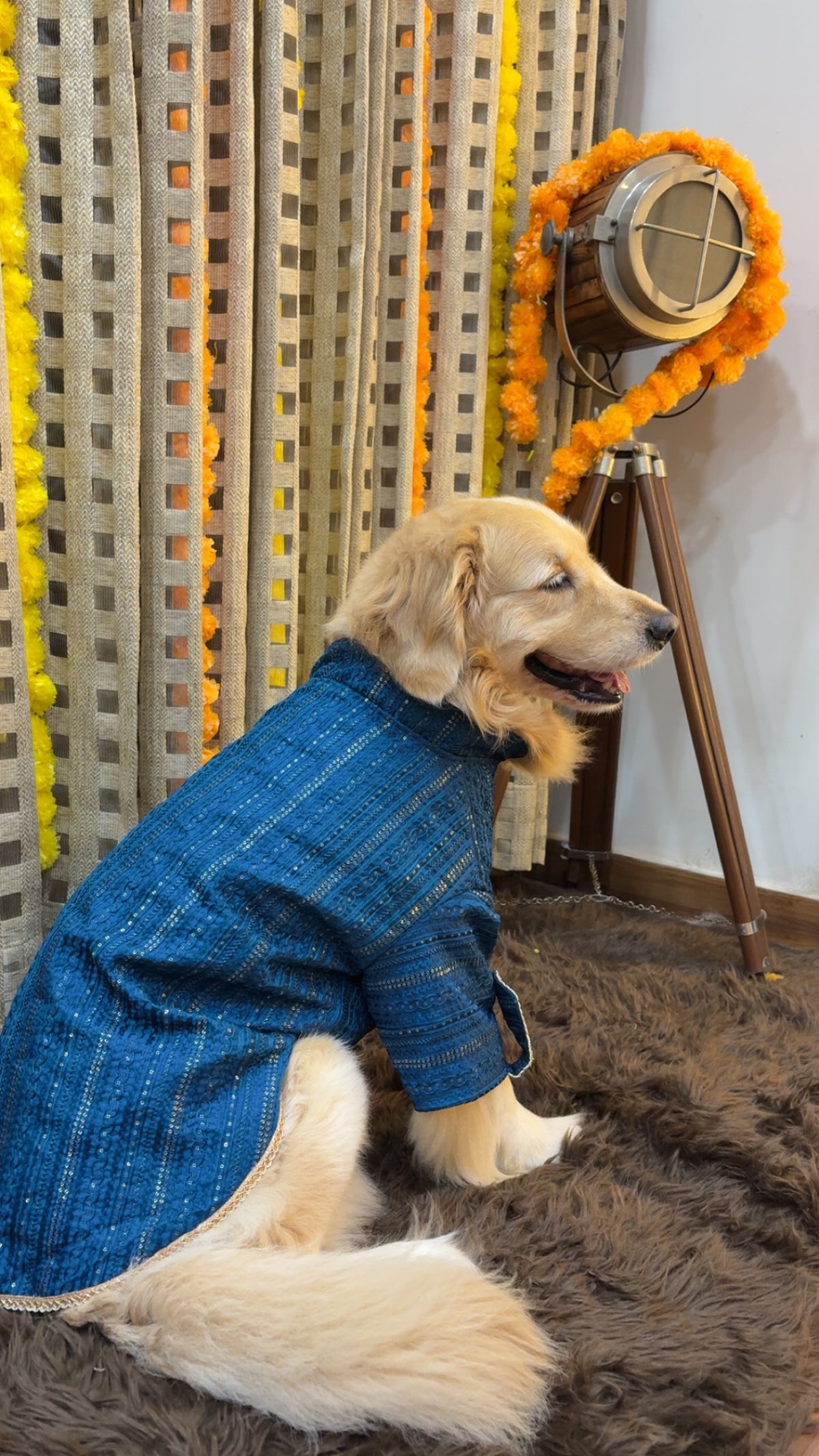 Peacock Blue Zari Kurta