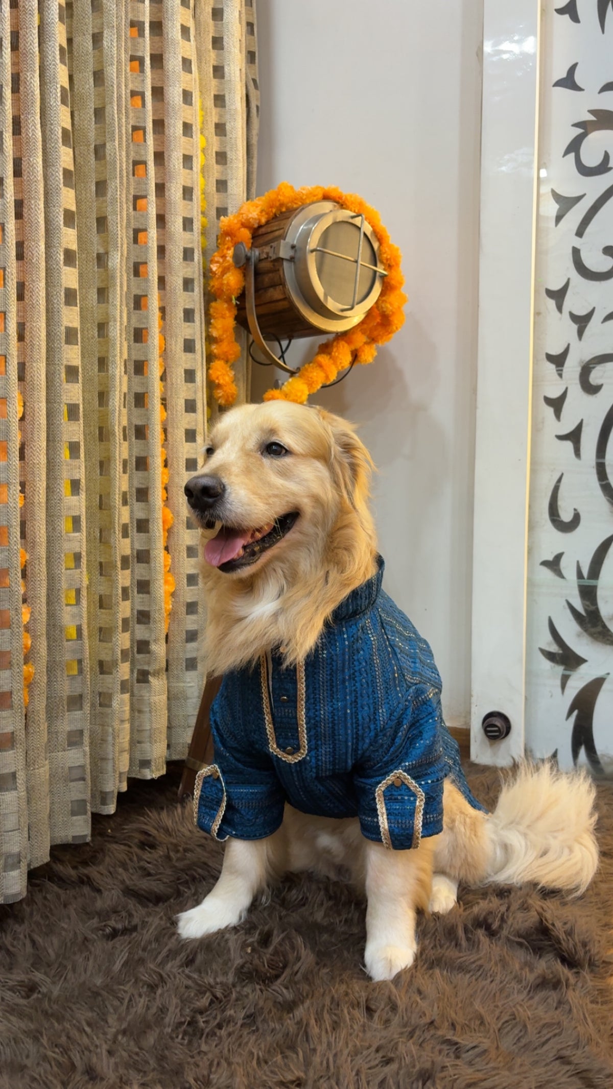 Peacock Blue Zari Kurta