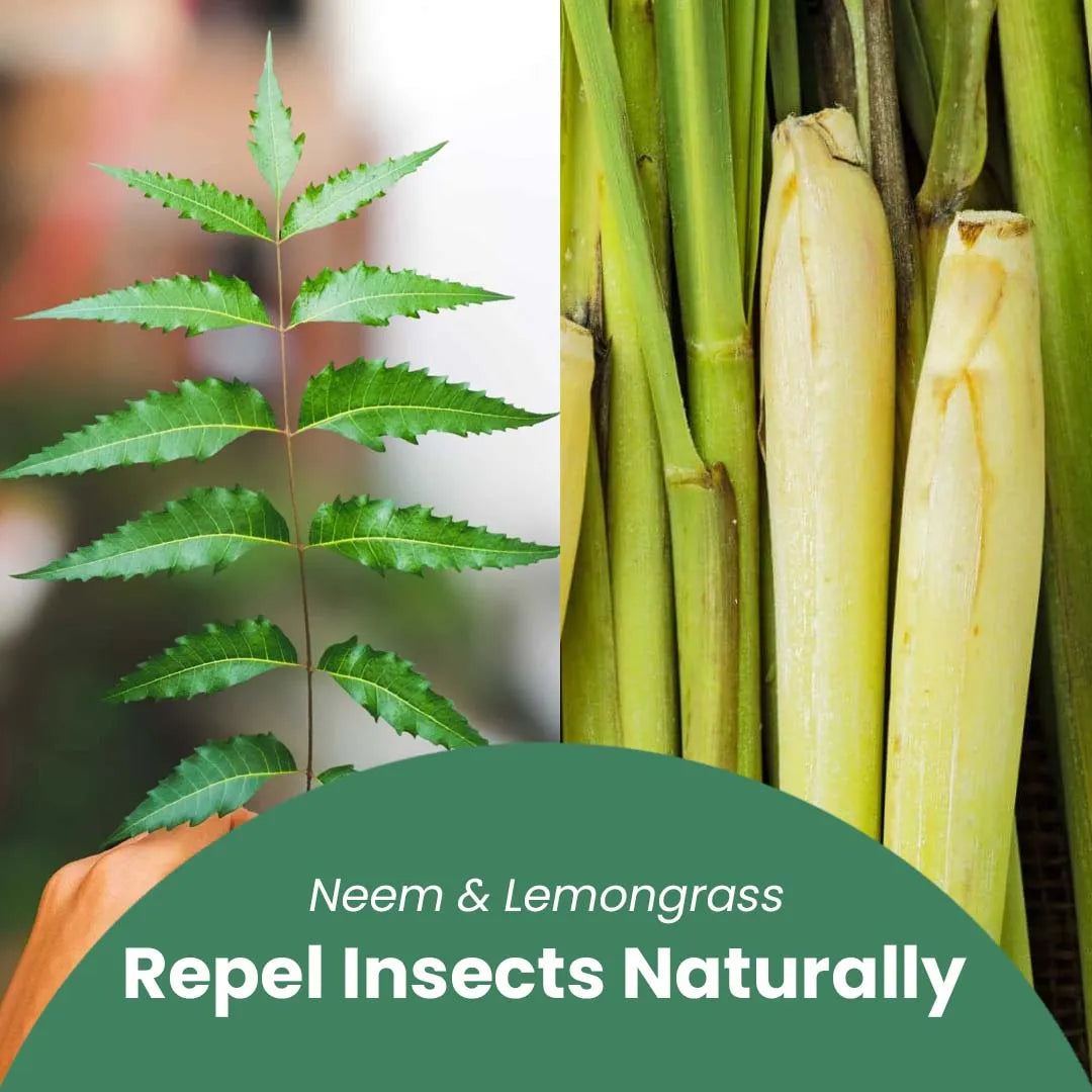 Furryfits No-Rinse Instant Dry Bath Shampoo Spray for Dogs & Cats - Neem & Aloe Vera, Waterless 200 ml