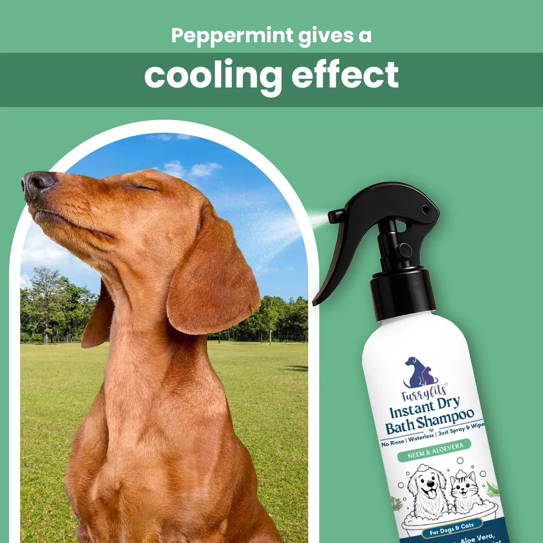 Furryfits No-Rinse Instant Dry Bath Shampoo Spray for Dogs & Cats - Neem & Aloe Vera, Waterless 200 ml